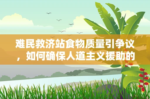 难民救济站食物质量引争议，如何确保人道主义援助的实效性？