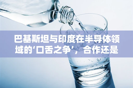 巴基斯坦与印度在半导体领域的‘口舌之争’，合作还是竞争的未来？