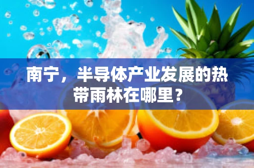 南宁，半导体产业发展的热带雨林在哪里？
