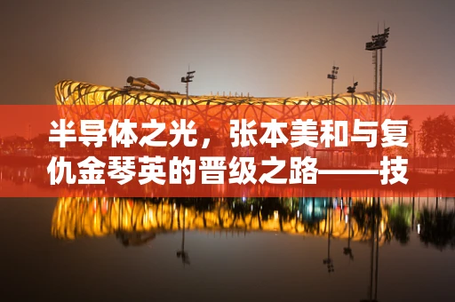 半导体之光，张本美和与复仇金琴英的晋级之路——技术迭代与个人突破的交响曲