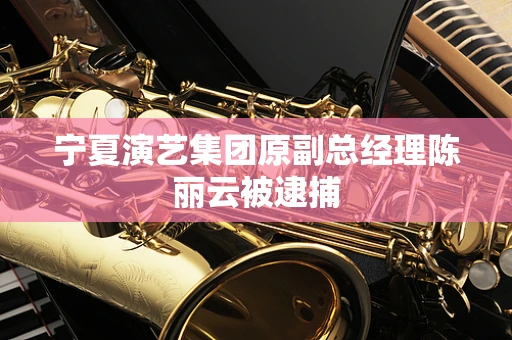 宁夏演艺集团原副总经理陈丽云被逮捕
