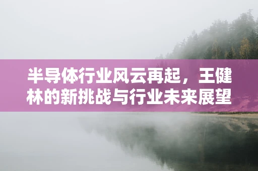 半导体行业风云再起，王健林的新挑战与行业未来展望
