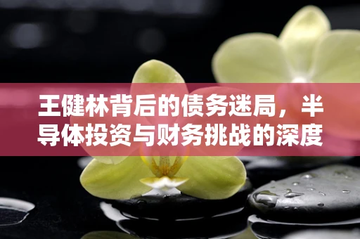 王健林背后的债务迷局，半导体投资与财务挑战的深度剖析