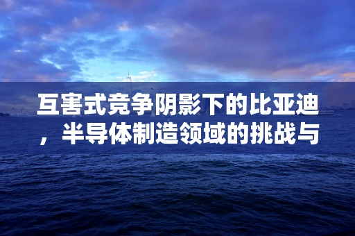 互害式竞争阴影下的比亚迪，半导体制造领域的挑战与反思