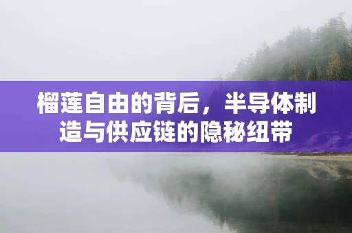 榴莲自由的背后，半导体制造与供应链的隐秘纽带