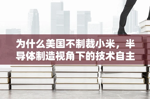 为什么美国不制裁小米，半导体制造视角下的技术自主与市场考量