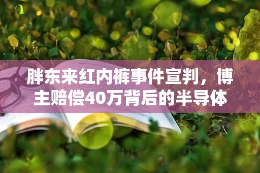 胖东来红内裤事件宣判，博主赔偿40万背后的半导体制造行业伦理与法律思考