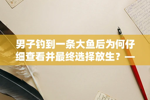 男子钓到一条大鱼后为何仔细查看并最终选择放生？——从半导体制造的视角看生态与技术的和谐共存