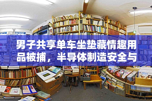 男子共享单车坐垫藏情趣用品被捕，半导体制造安全与个人隐私的界限何在？