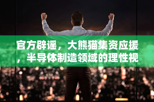 官方辟谣，大熊猫集资应援，半导体制造领域的理性视角