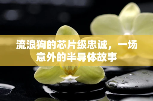 流浪狗的芯片级忠诚，一场意外的半导体故事