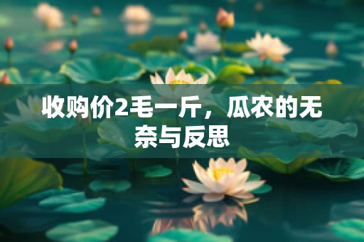 收购价2毛一斤，瓜农的无奈与反思