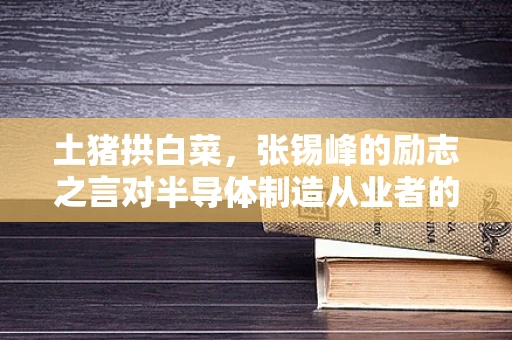 土猪拱白菜，张锡峰的励志之言对半导体制造从业者的启示