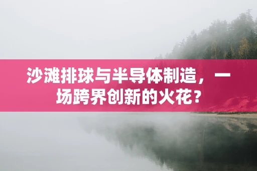 沙滩排球与半导体制造，一场跨界创新的火花？