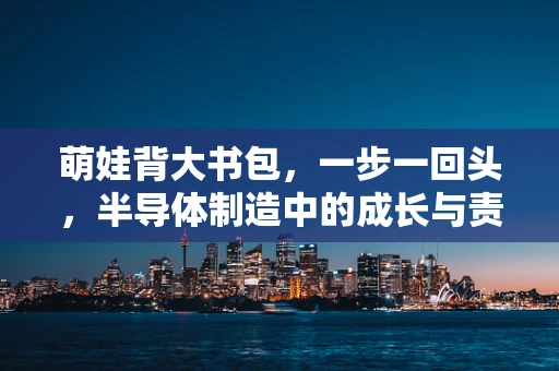 萌娃背大书包，一步一回头，半导体制造中的成长与责任