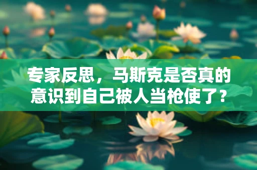 专家反思，马斯克是否真的意识到自己被人当枪使了？