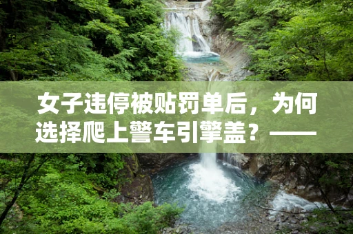 女子违停被贴罚单后，为何选择爬上警车引擎盖？——一场误解与沟通的缺失