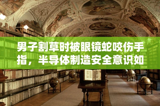 男子割草时被眼镜蛇咬伤手指，半导体制造安全意识如何融入日常？