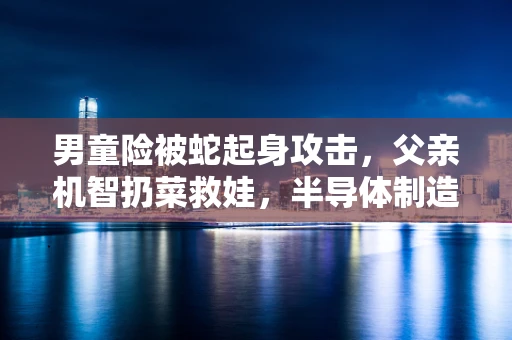 男童险被蛇起身攻击，父亲机智扔菜救娃，半导体制造中的安全意识启示
