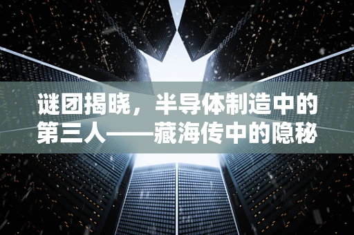 谜团揭晓，半导体制造中的第三人——藏海传中的隐秘角色之谜