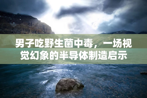 男子吃野生菌中毒，一场视觉幻象的半导体制造启示