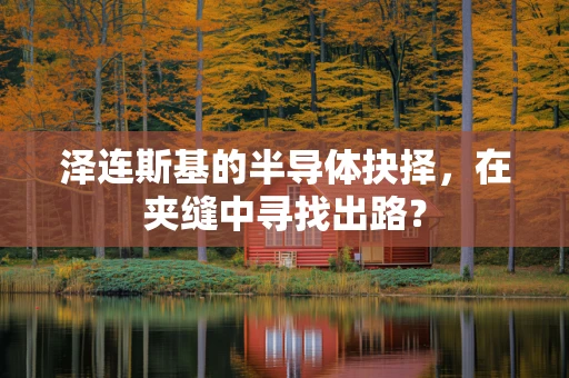 泽连斯基的半导体抉择，在夹缝中寻找出路？