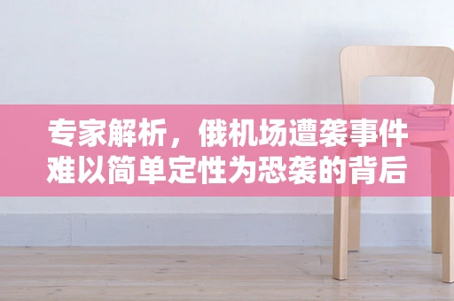专家解析，俄机场遭袭事件难以简单定性为恐袭的背后逻辑