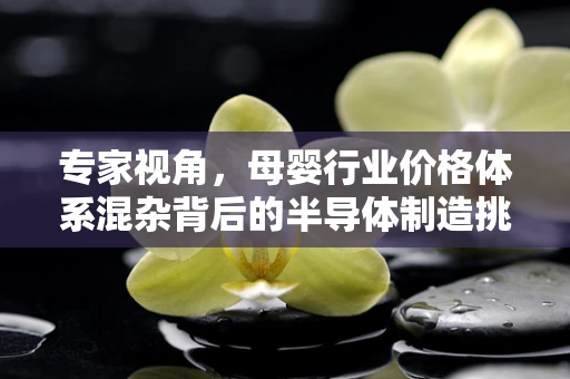 专家视角，母婴行业价格体系混杂背后的半导体制造挑战与机遇