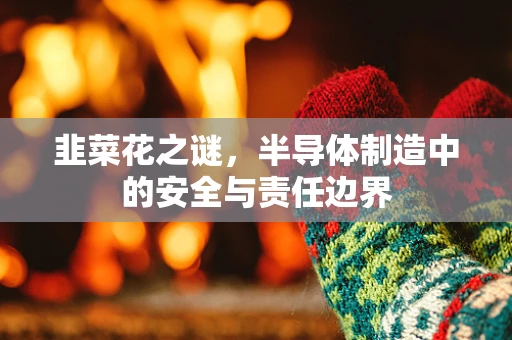 韭菜花之谜，半导体制造中的安全与责任边界