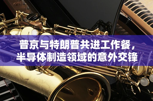 普京与特朗普共进工作餐，半导体制造领域的意外交锋