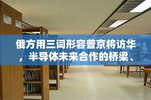 俄方用三词形容普京将访华，半导体未来合作的桥梁、催化剂与新篇章