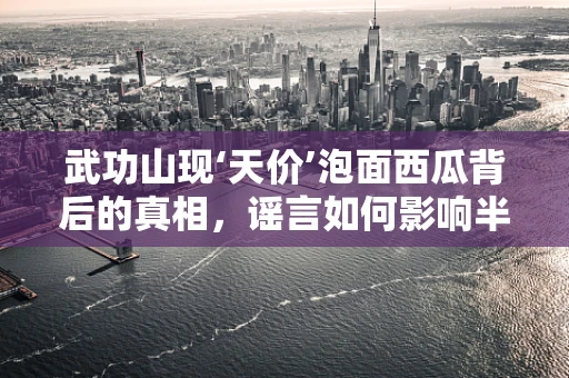 武功山现‘天价’泡面西瓜背后的真相，谣言如何影响半导体制造行业的信任基石？
