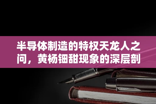 半导体制造的特权天龙人之问，黄杨钿甜现象的深层剖析